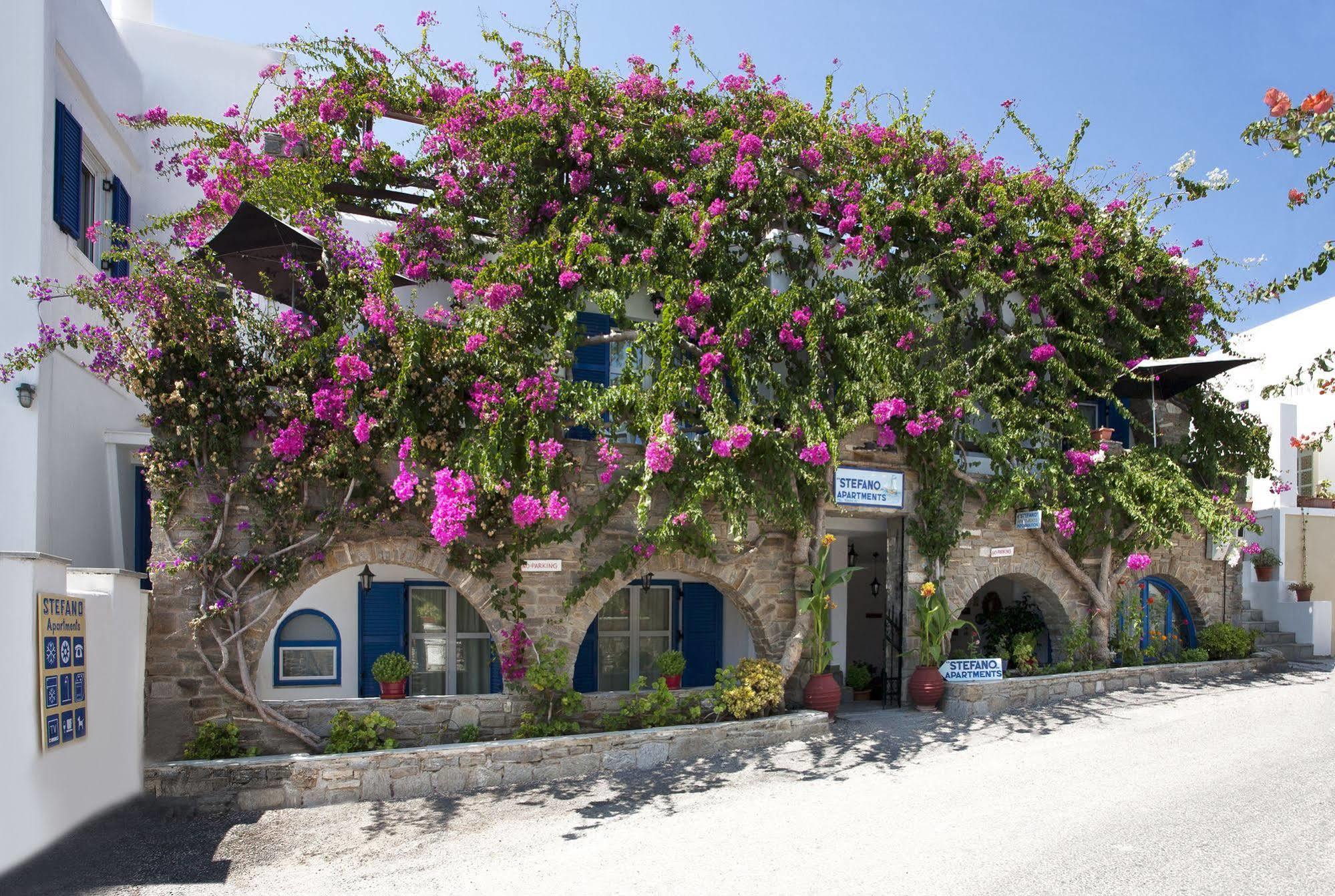 Stefano Apartments ناوسا المظهر الخارجي الصورة
