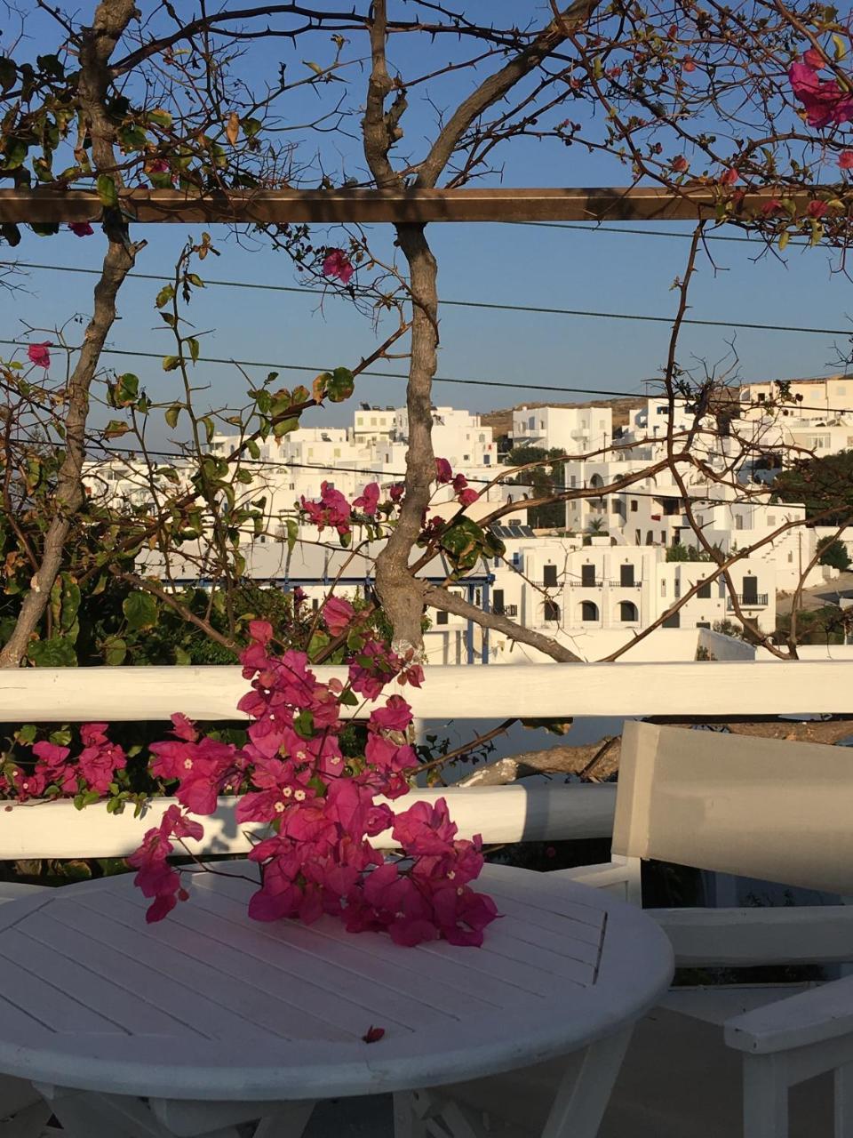 Stefano Apartments ناوسا المظهر الخارجي الصورة